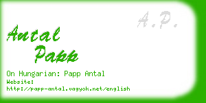 antal papp business card